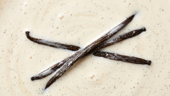 Vanilla