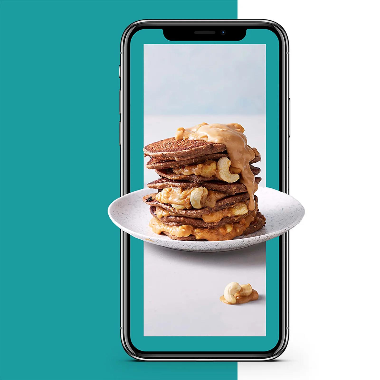 The Vegan Guide Image 1